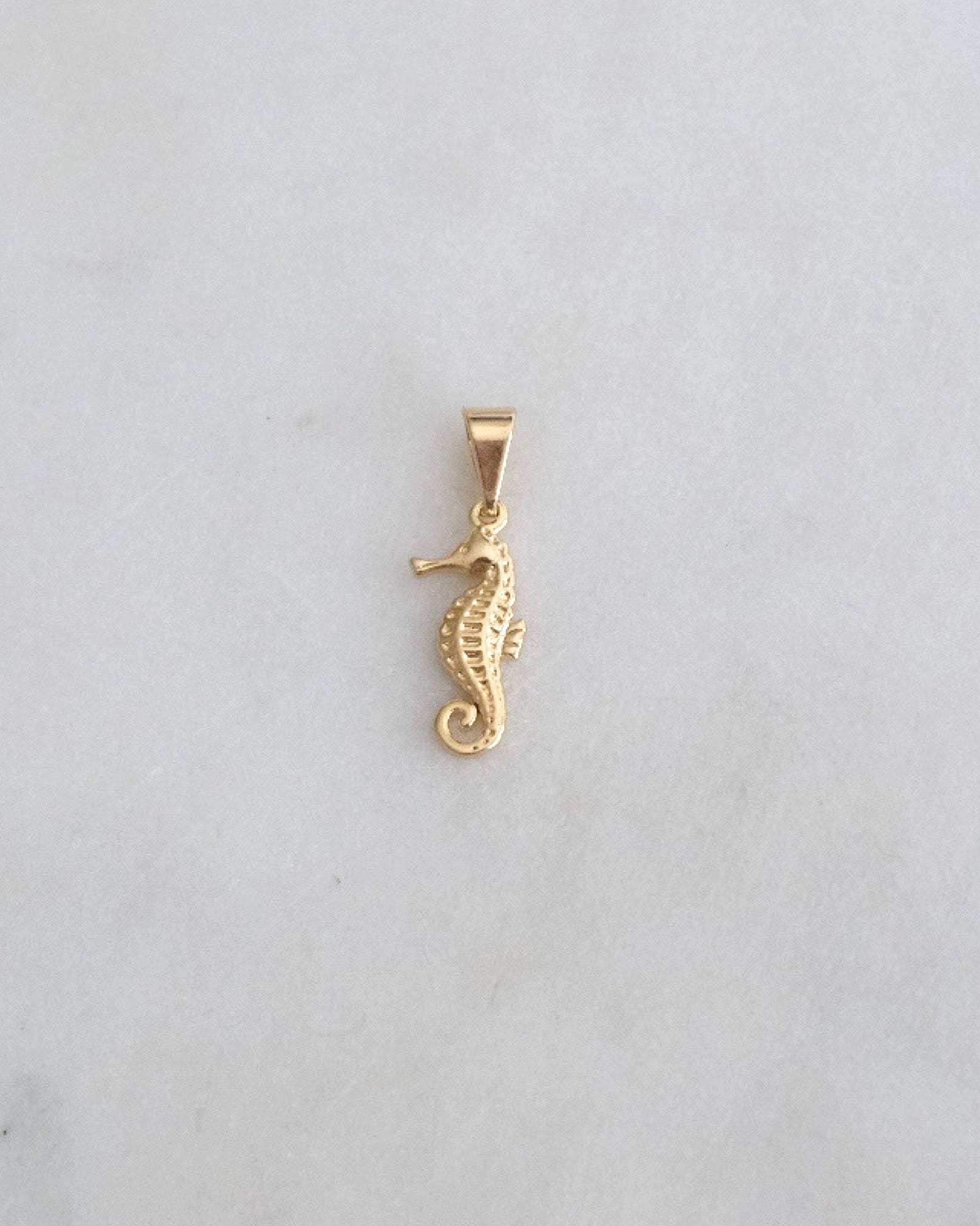 Seahorse Pendant