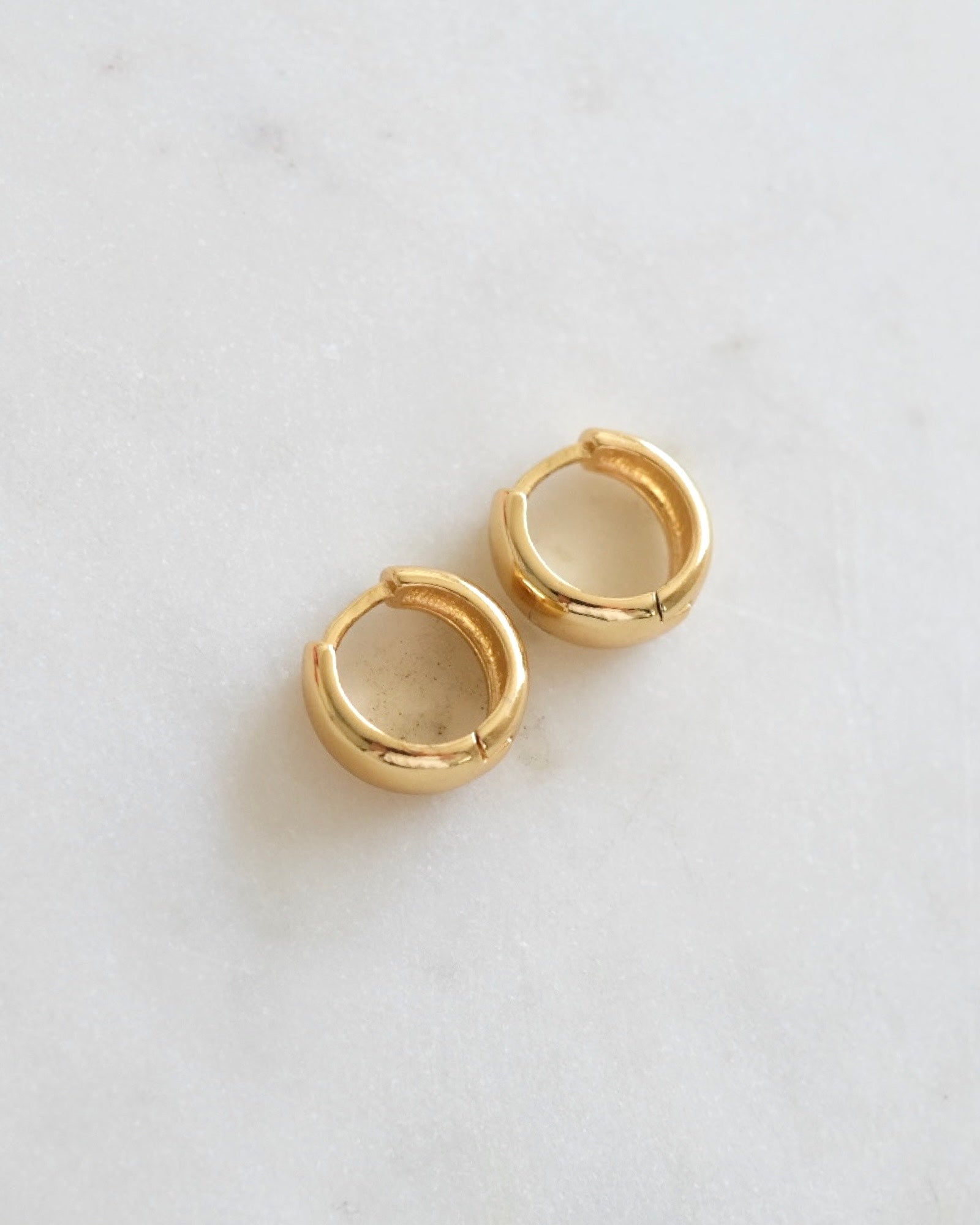 Agnes small hoop earrings ERIJEWELRY