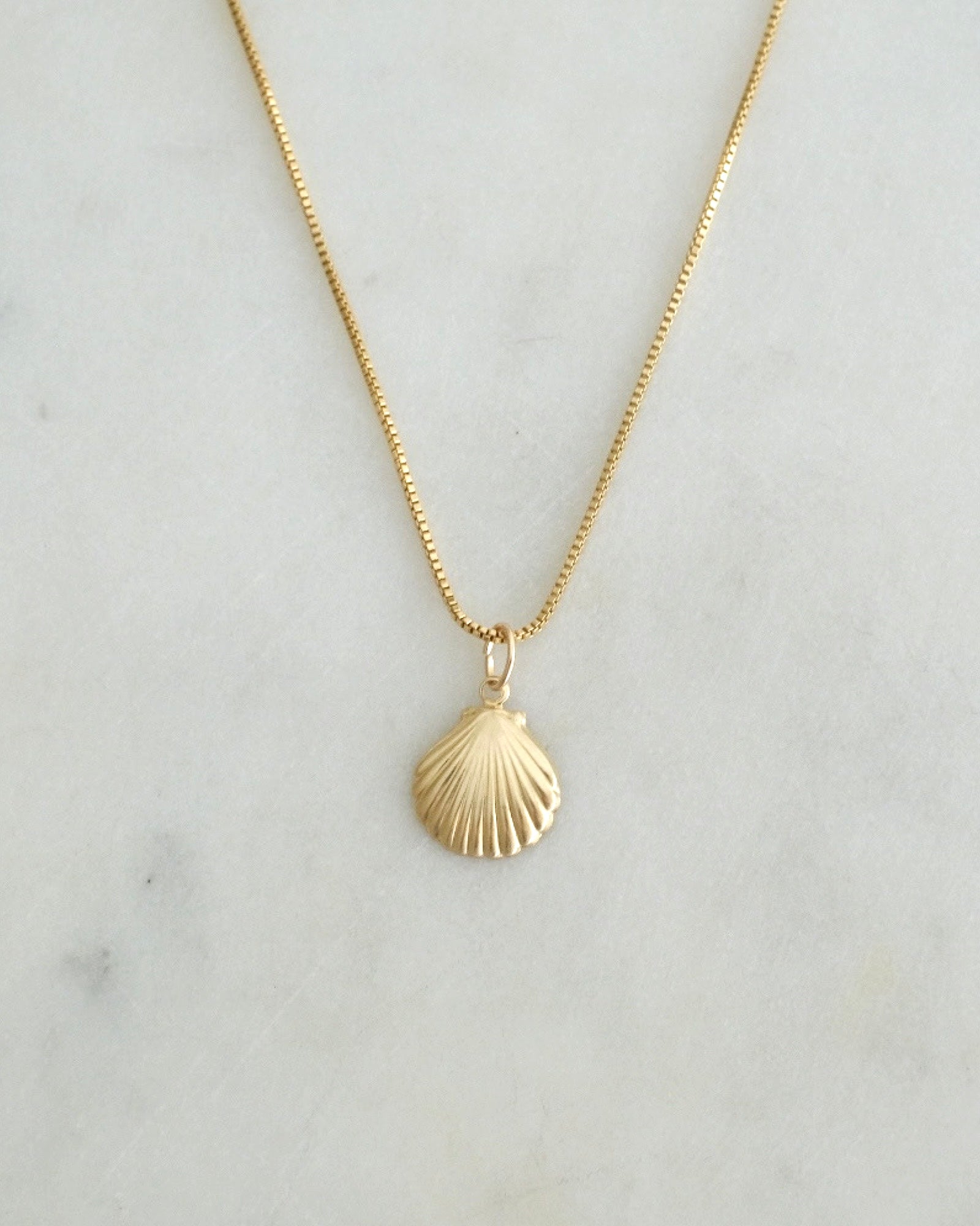 Shell Charm Necklace
