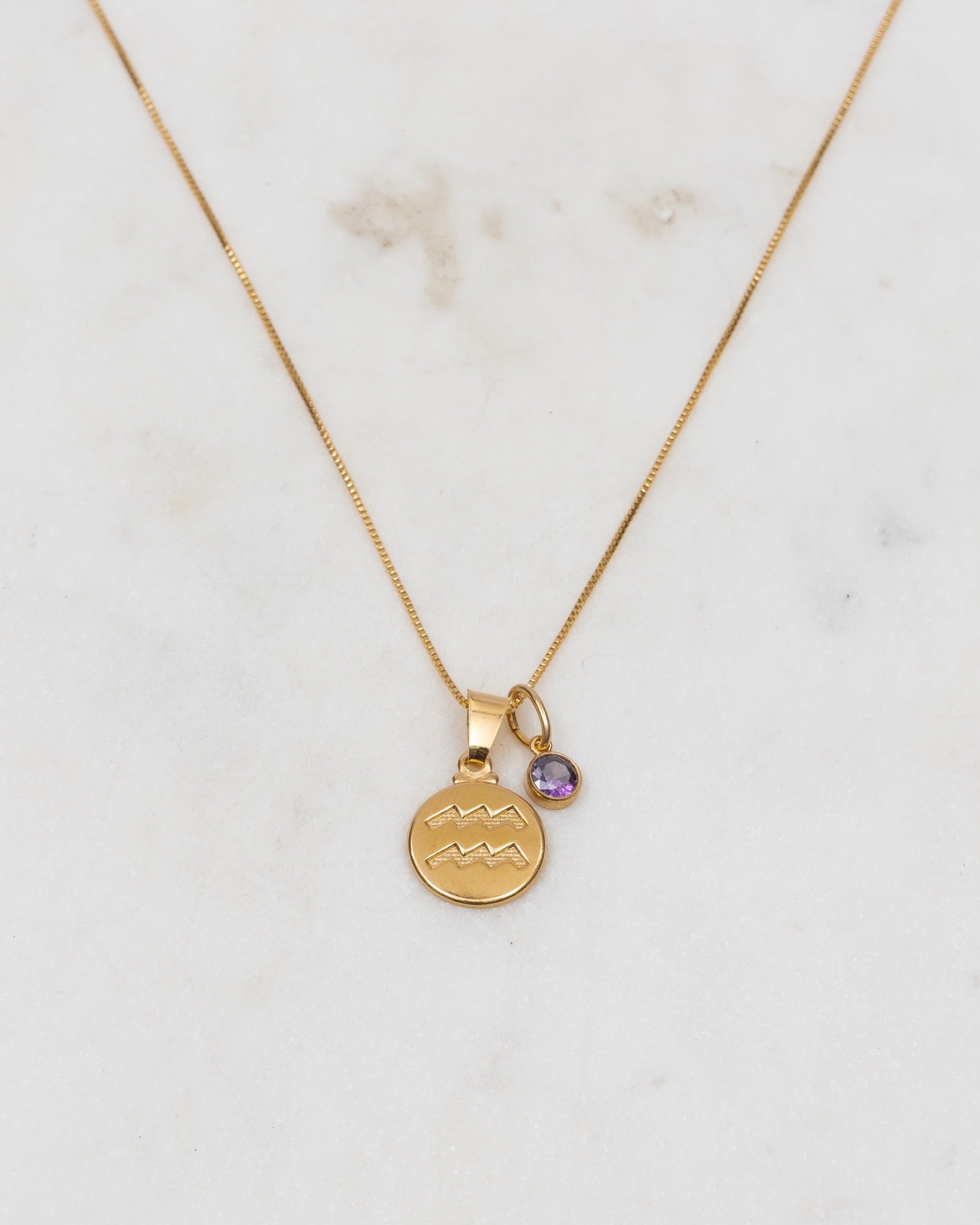 Aquarius Zodiac Necklace ERIJEWELRY