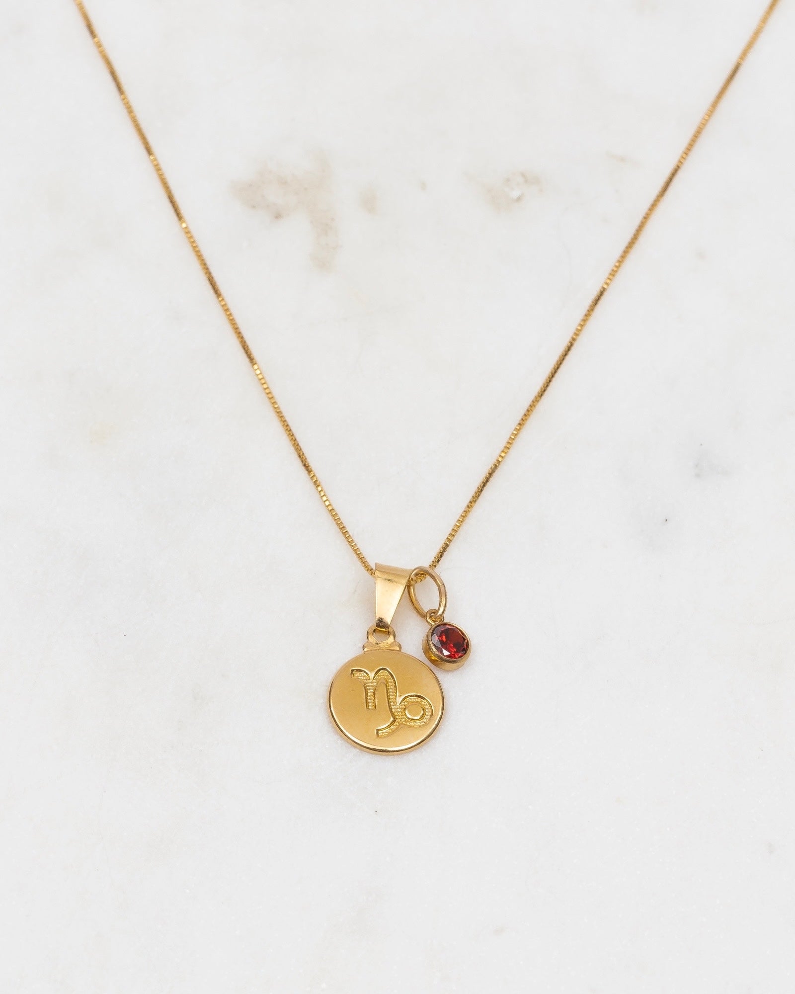 Capricorn Zodiac Necklace ERIJEWELRY