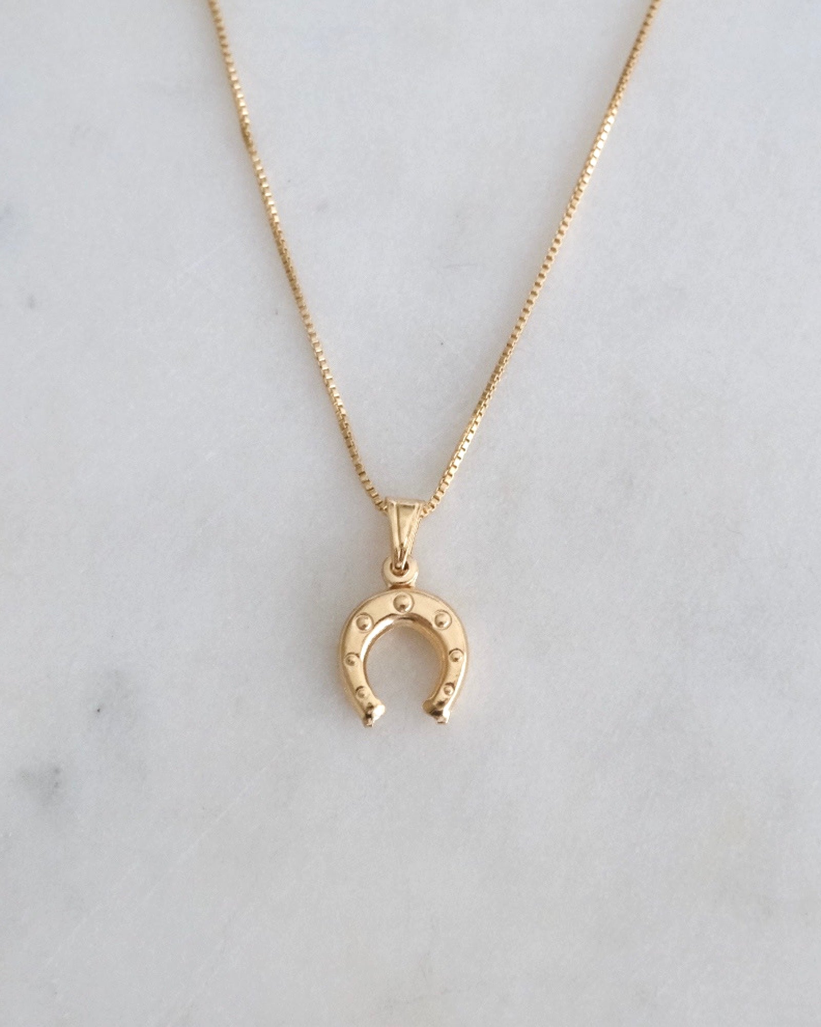 Horseshoe Necklace