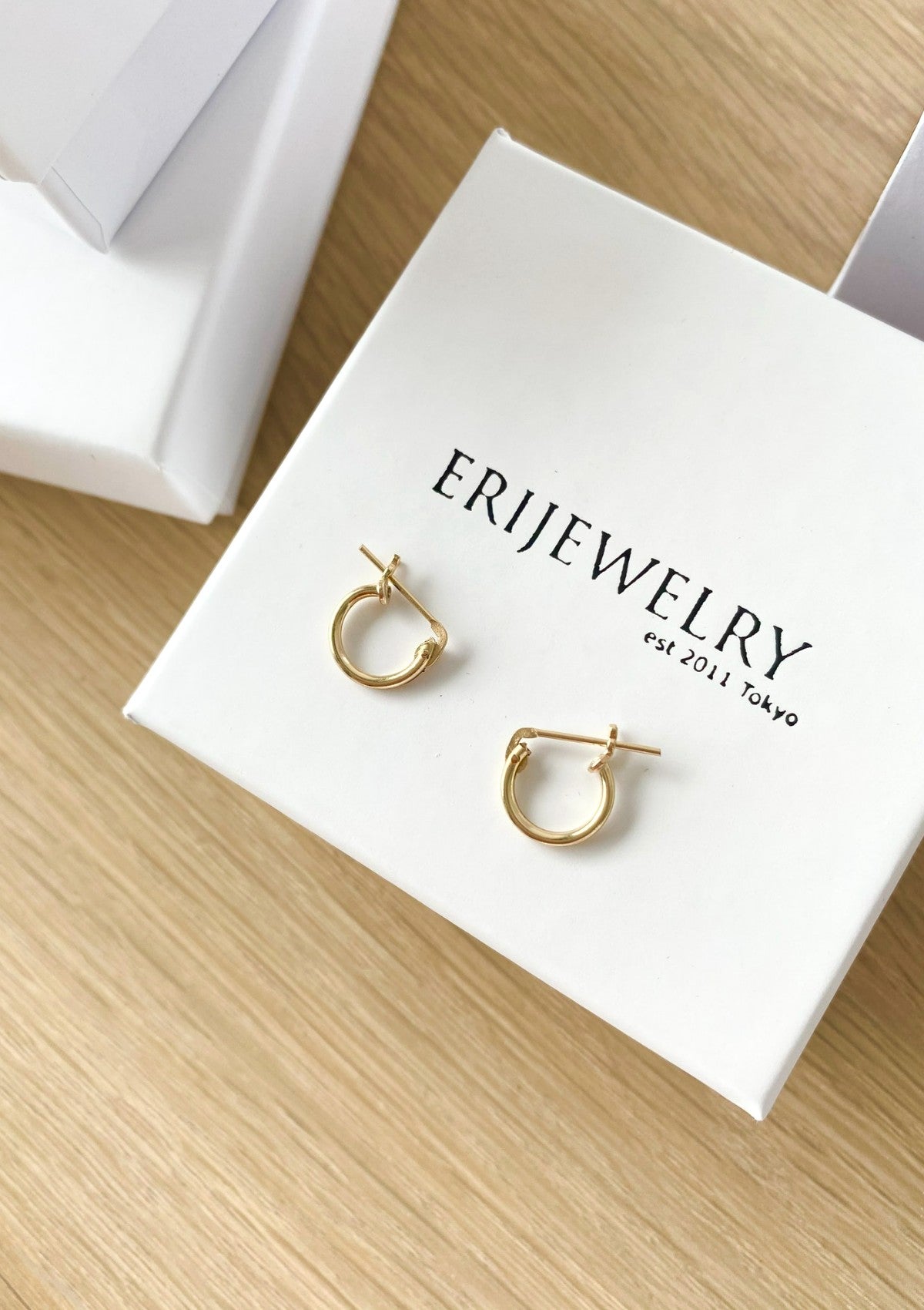 Small Hinged Hoops (10mm) ERIJEWELRY