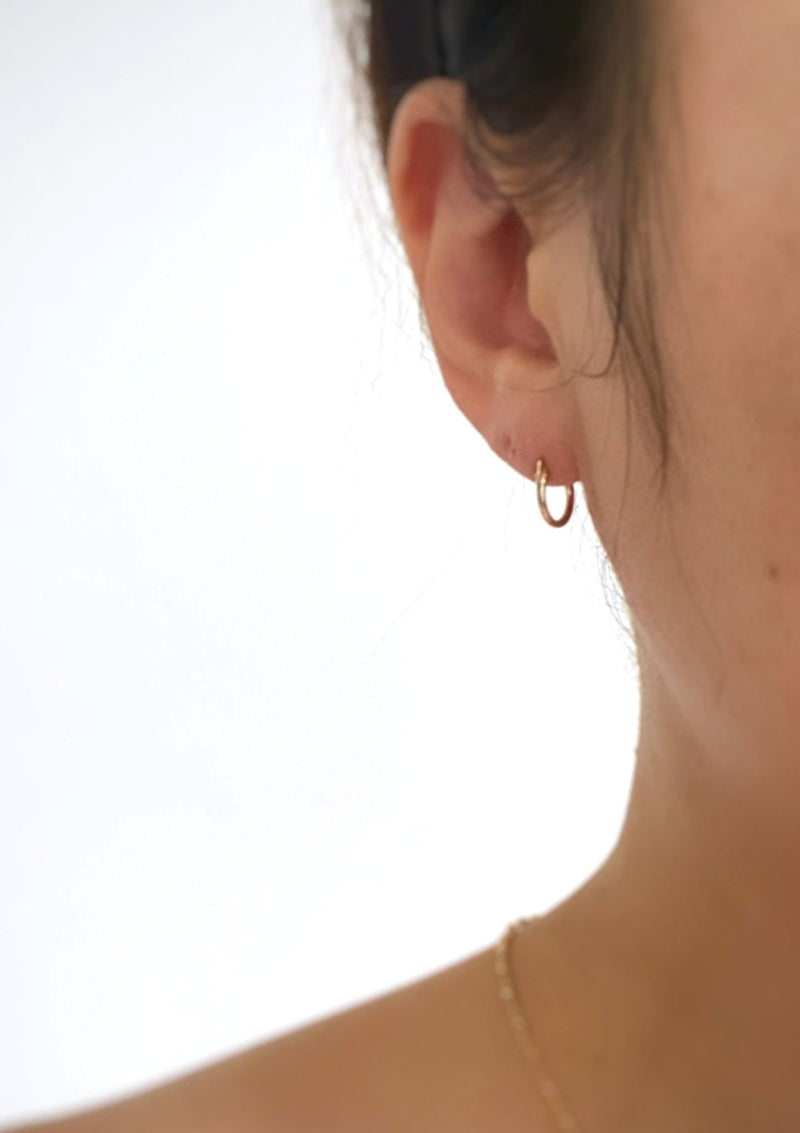 Small Hinged Hoops (10mm)