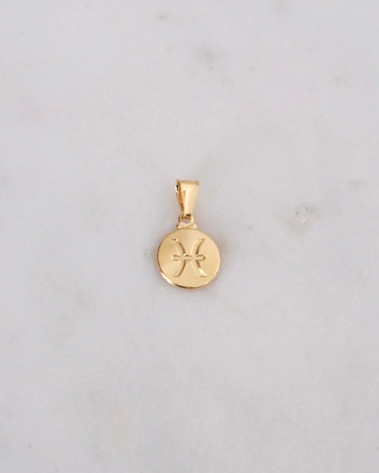 Zodiac Charm ERIJEWELRY