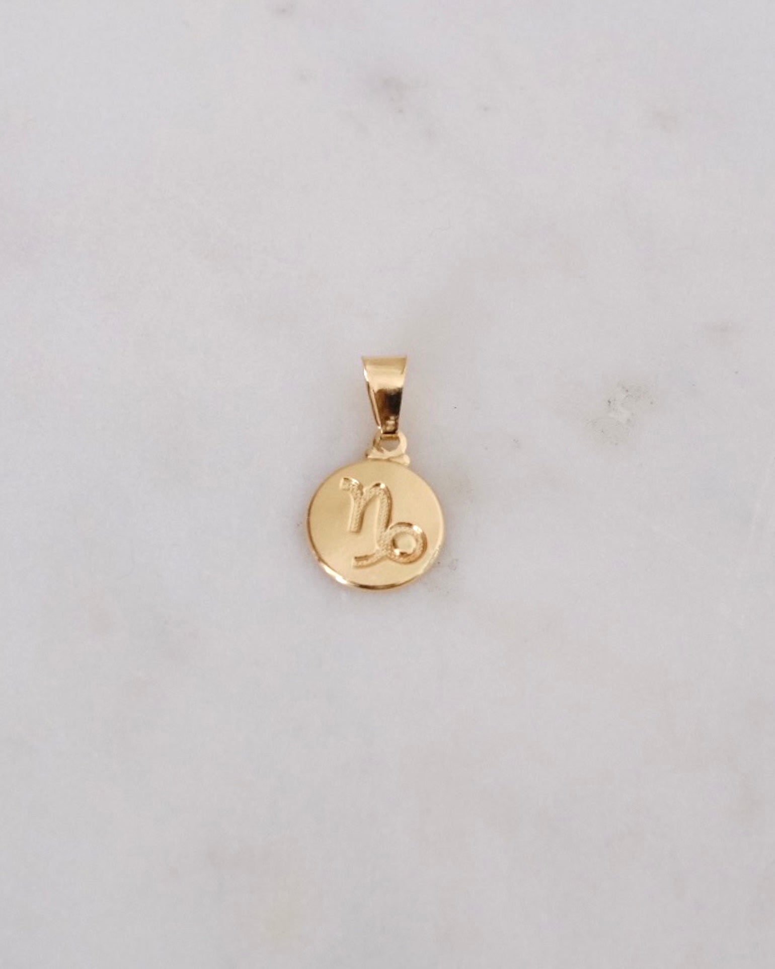 Zodiac Charm ERIJEWELRY