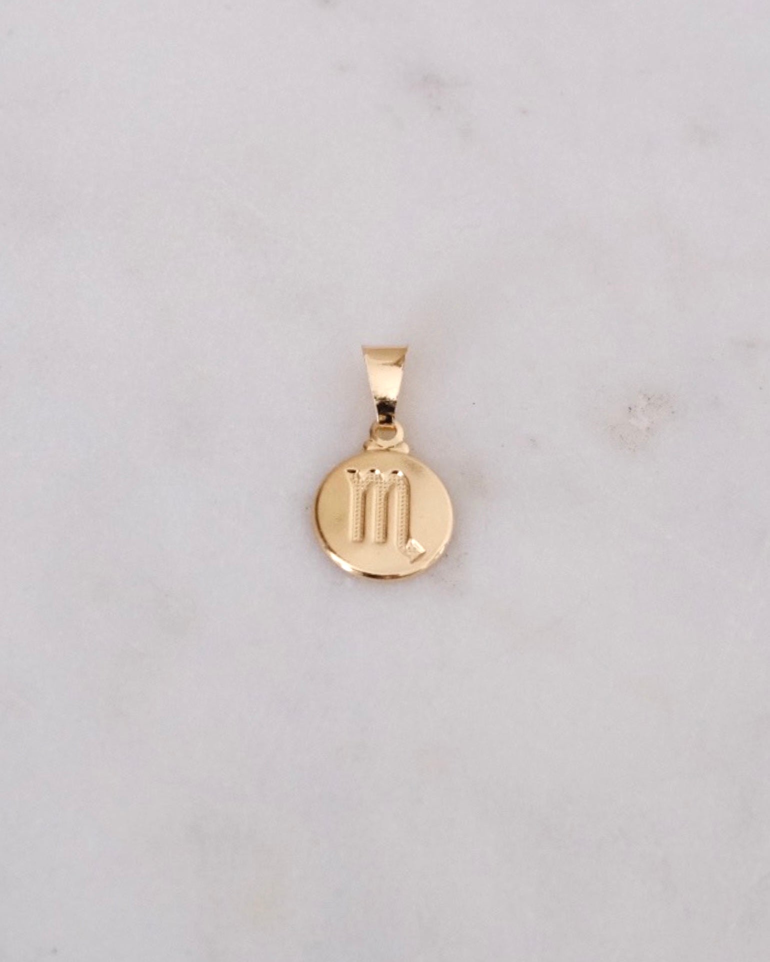 Zodiac Charm ERIJEWELRY