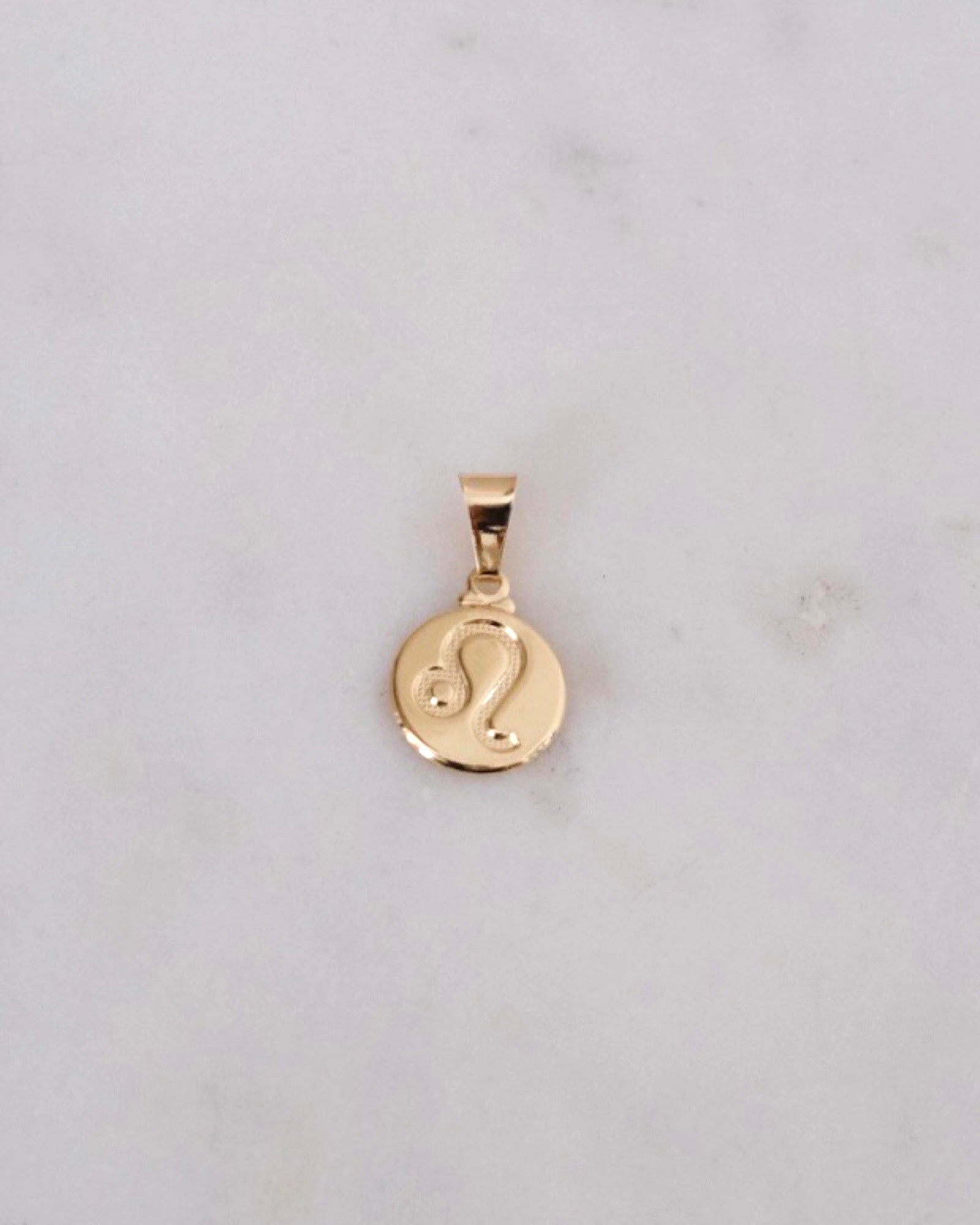 Zodiac Charm ERIJEWELRY